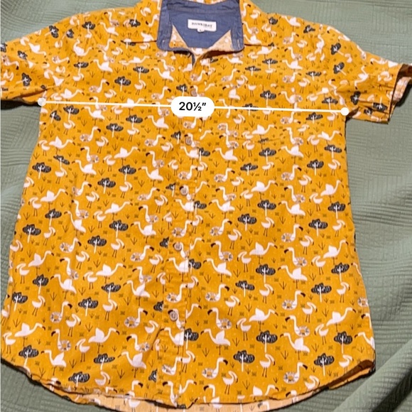 Hawksbay Button Down Short Sleeve with Flamingo Design
Size Medium - Picture 12 of 13